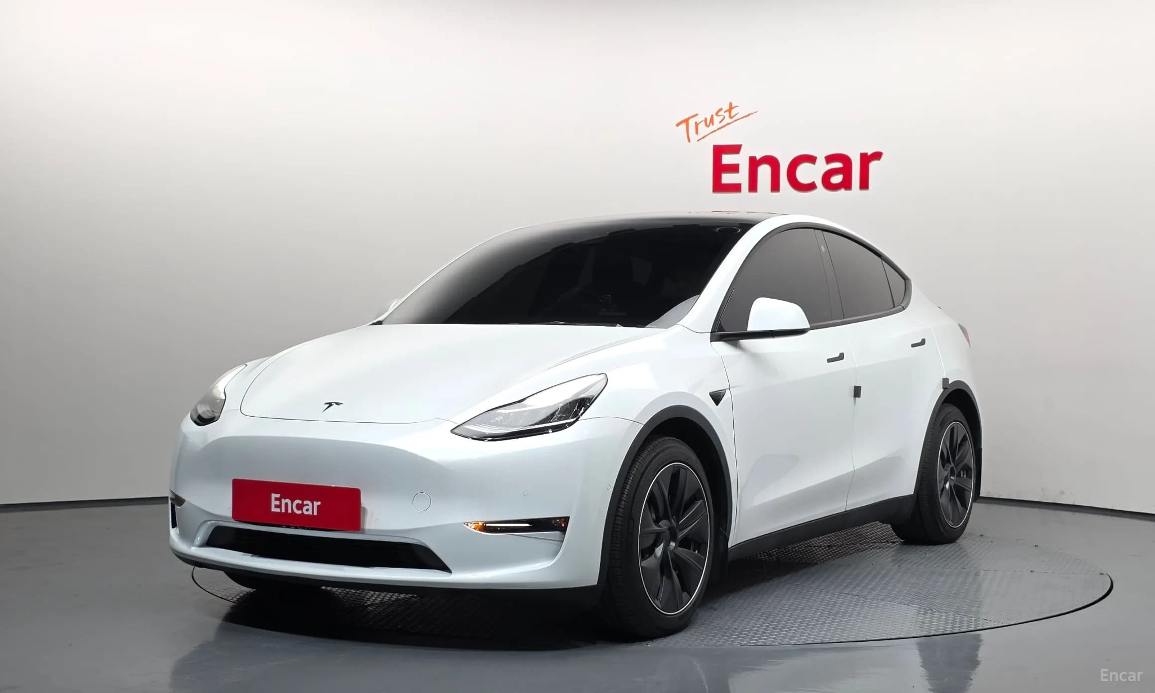 Model Y