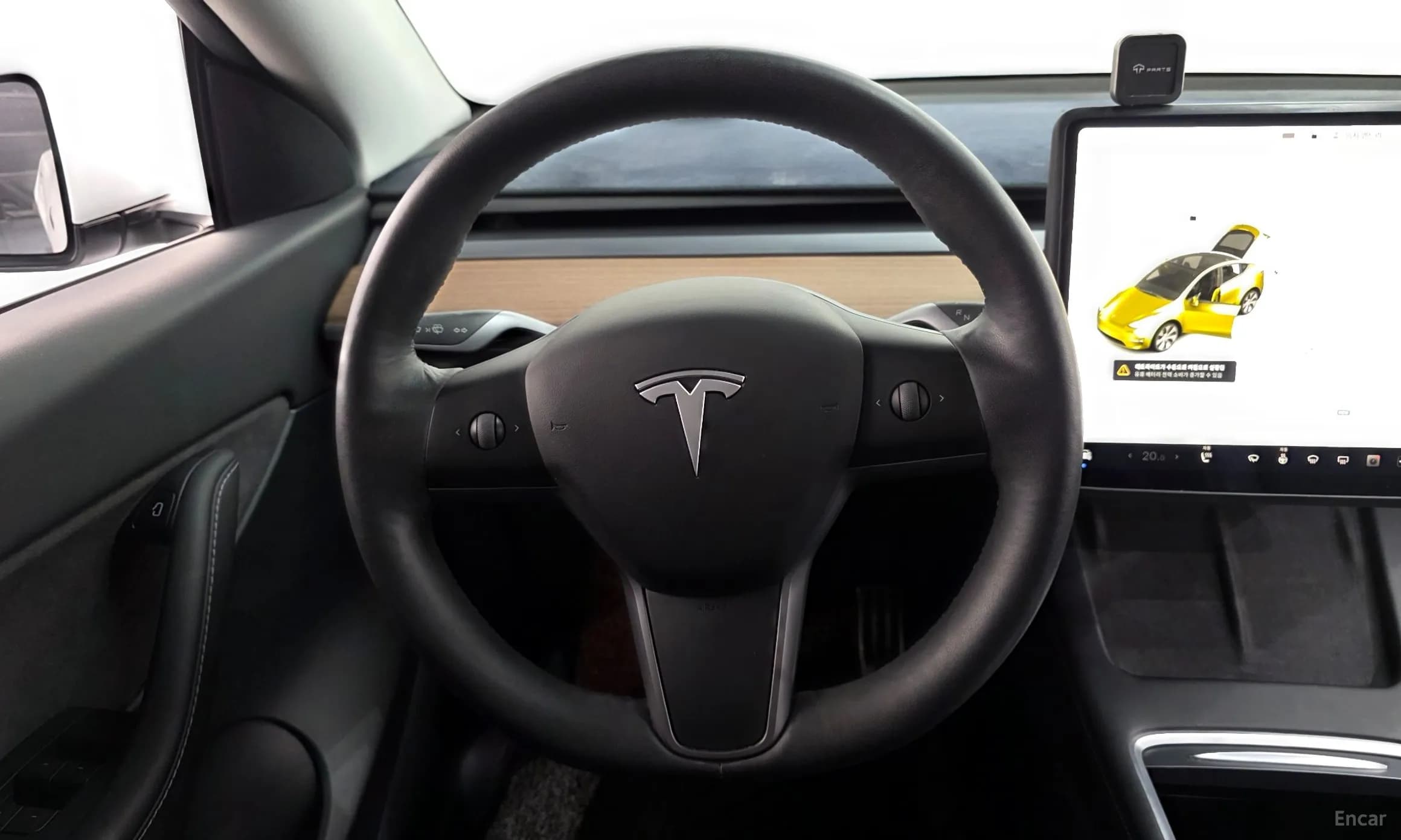 Model Y