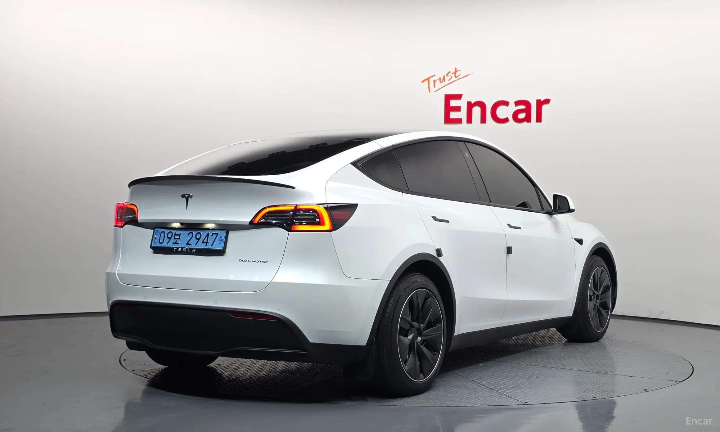 Model Y