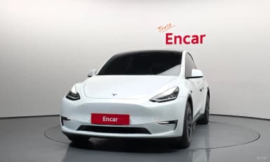 Model Y