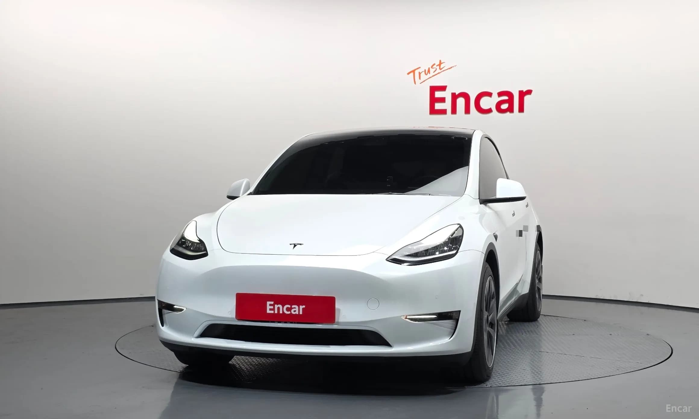 Model Y
