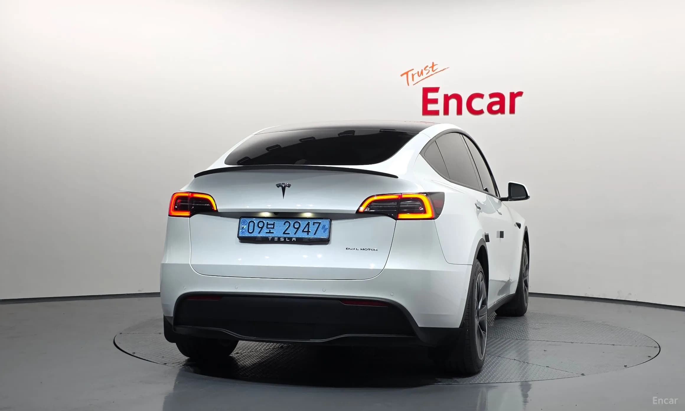 Model Y