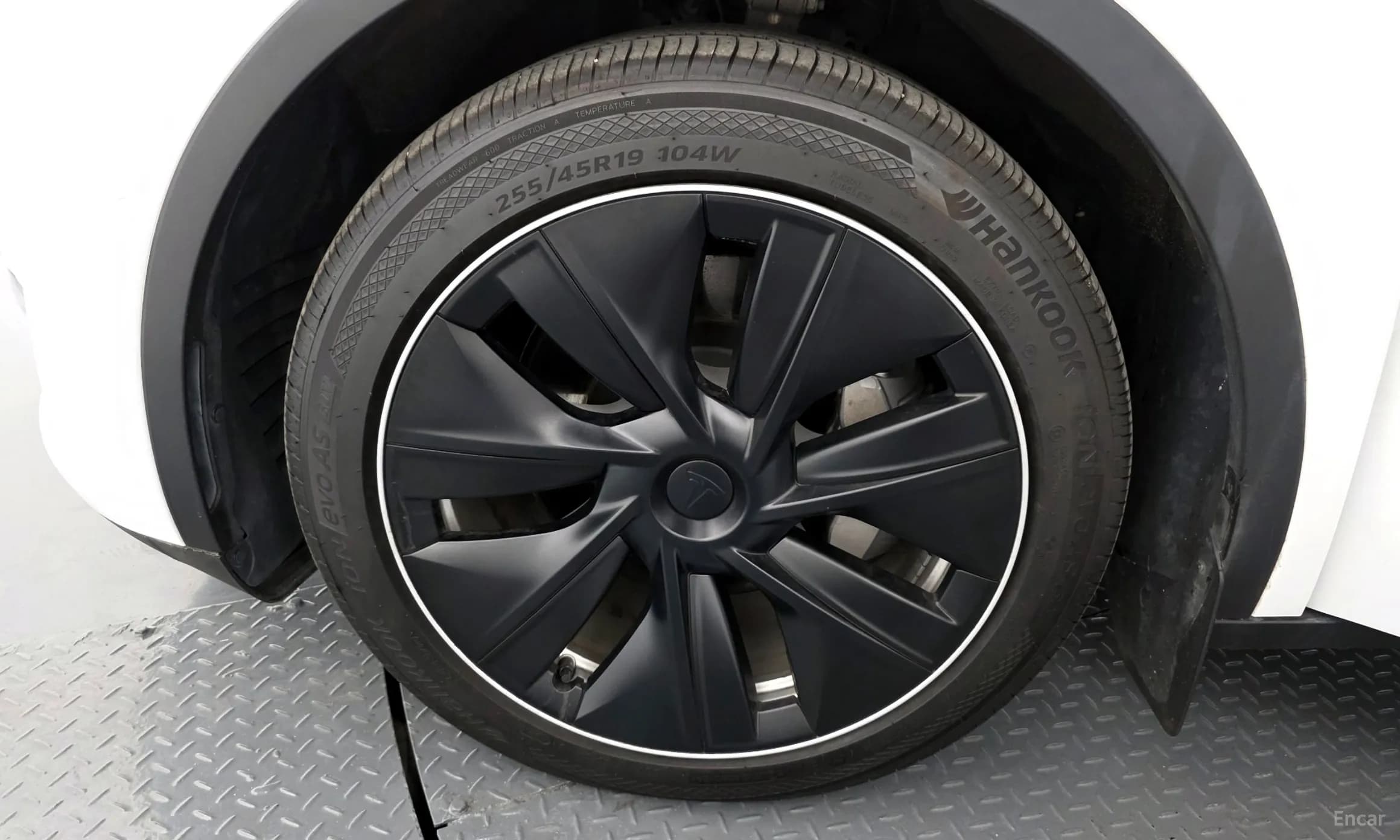 Model Y