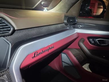 Urus