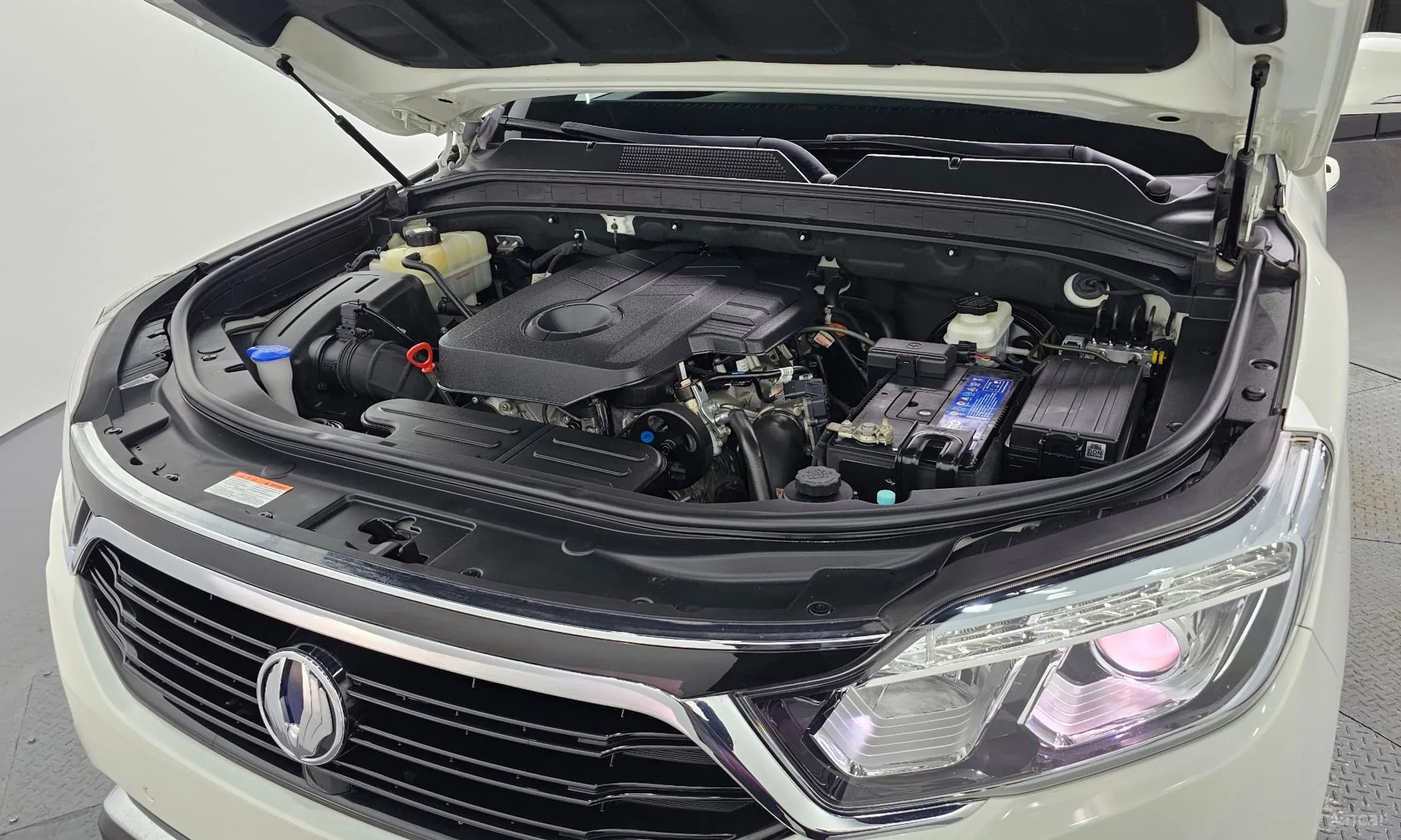 G4 Rexton