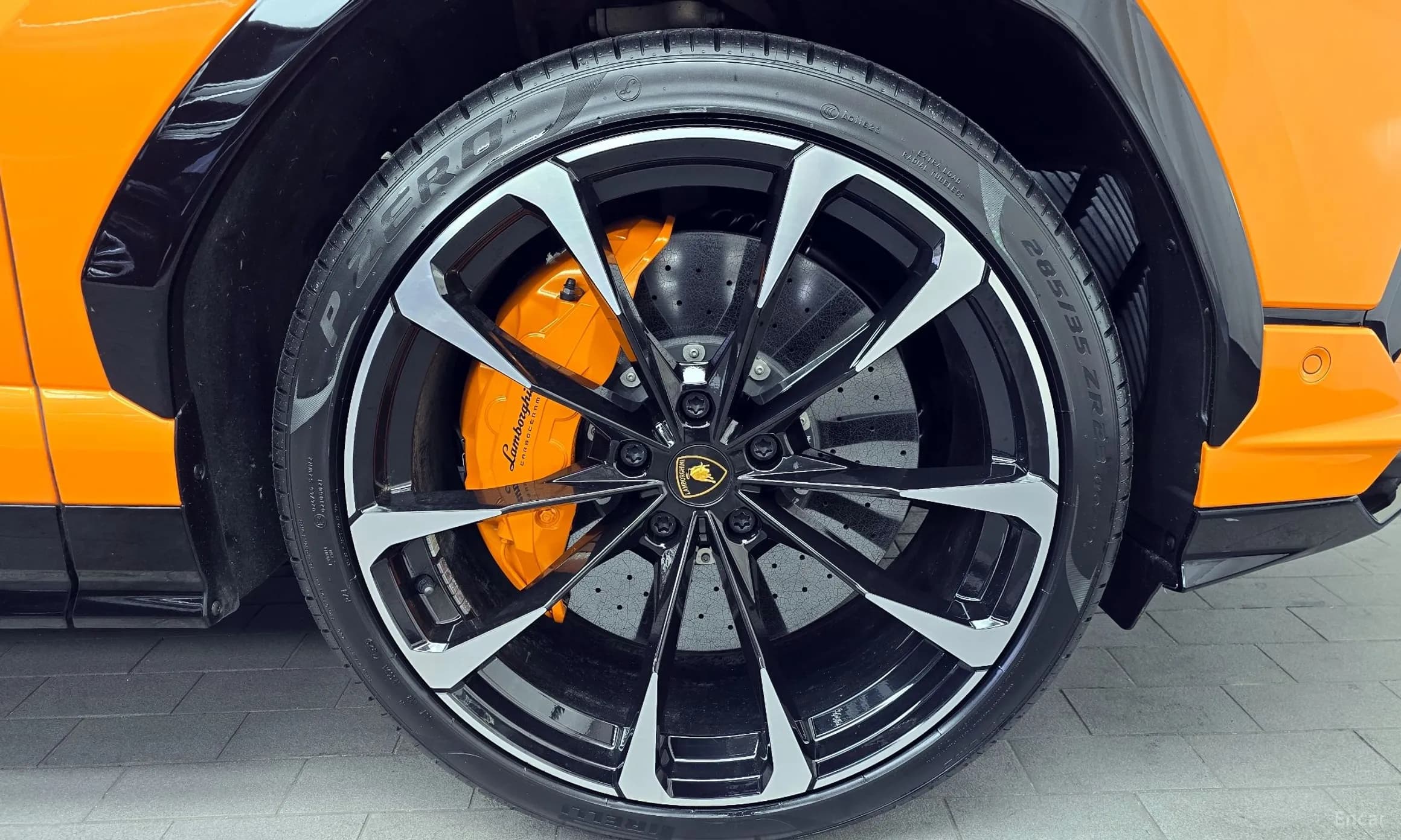 Urus