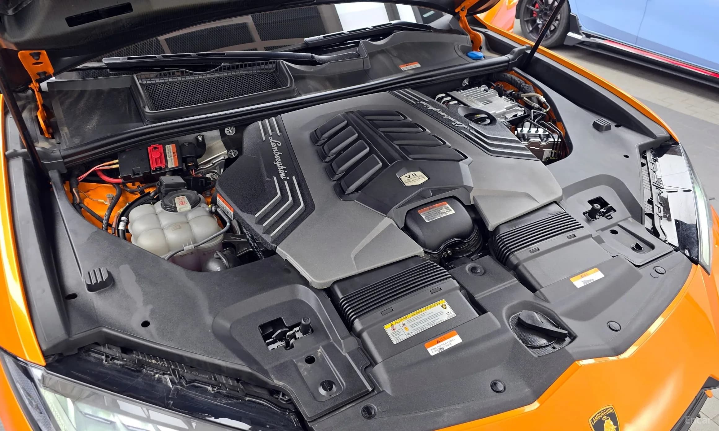 Urus
