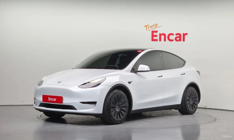Model Y