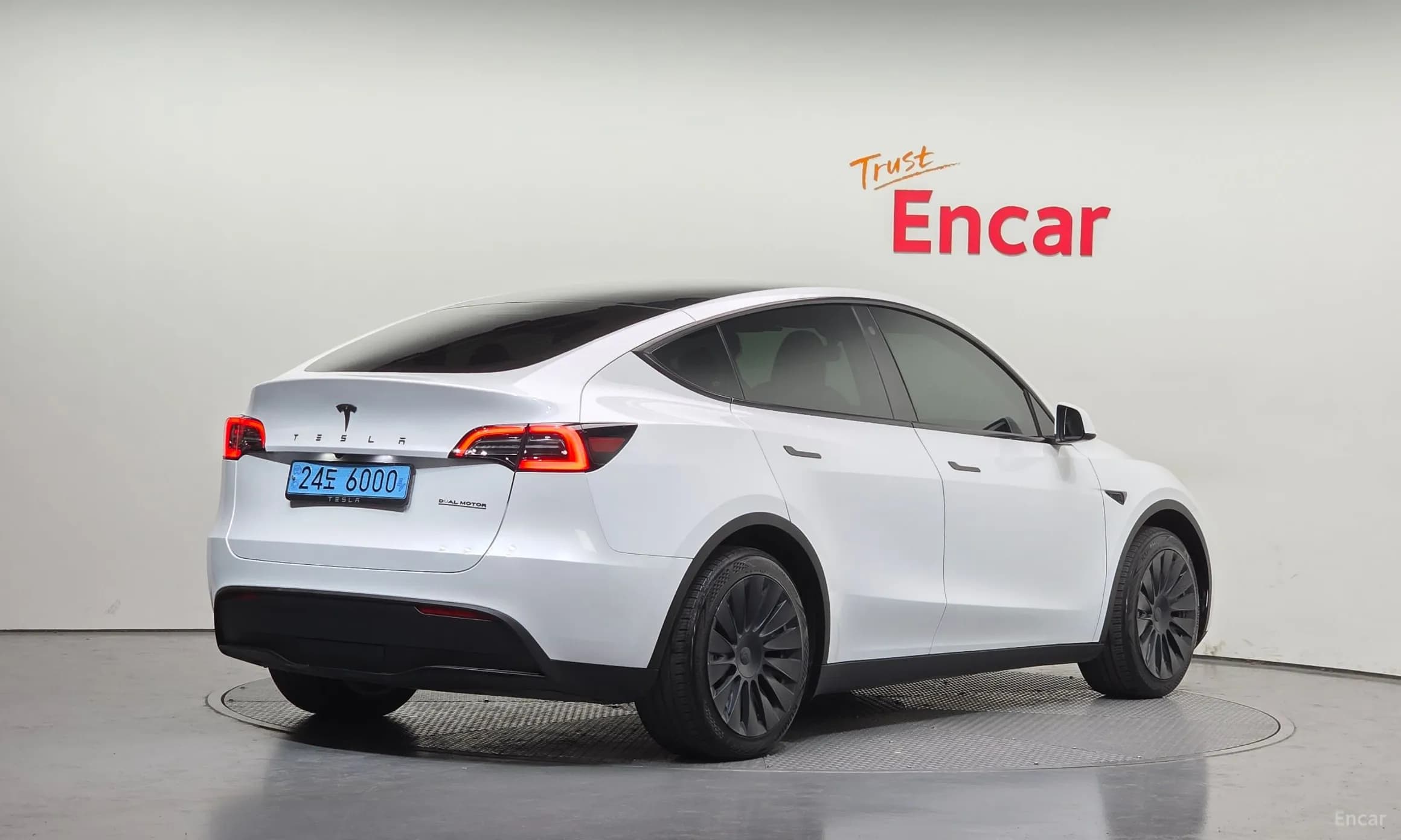 Model Y