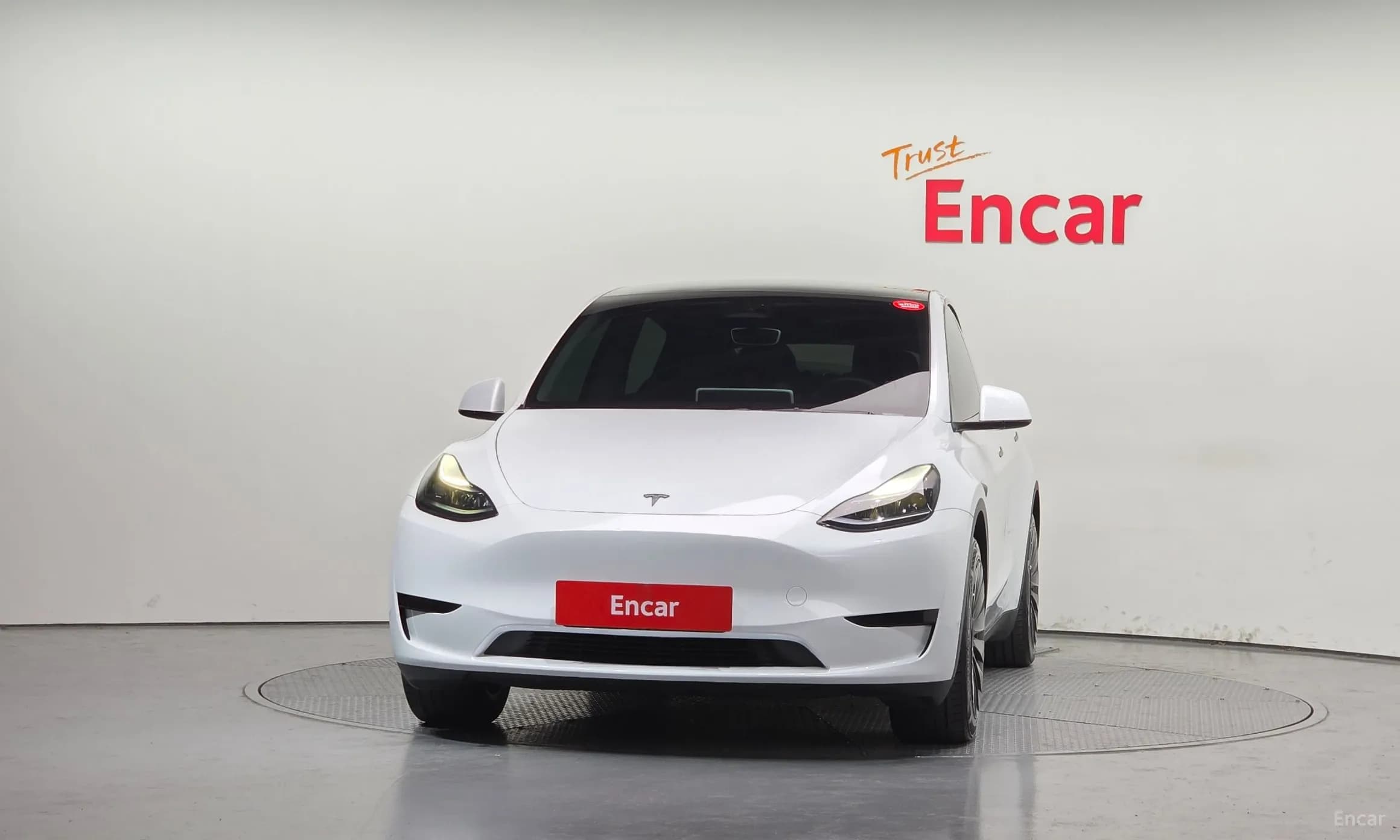 Model Y