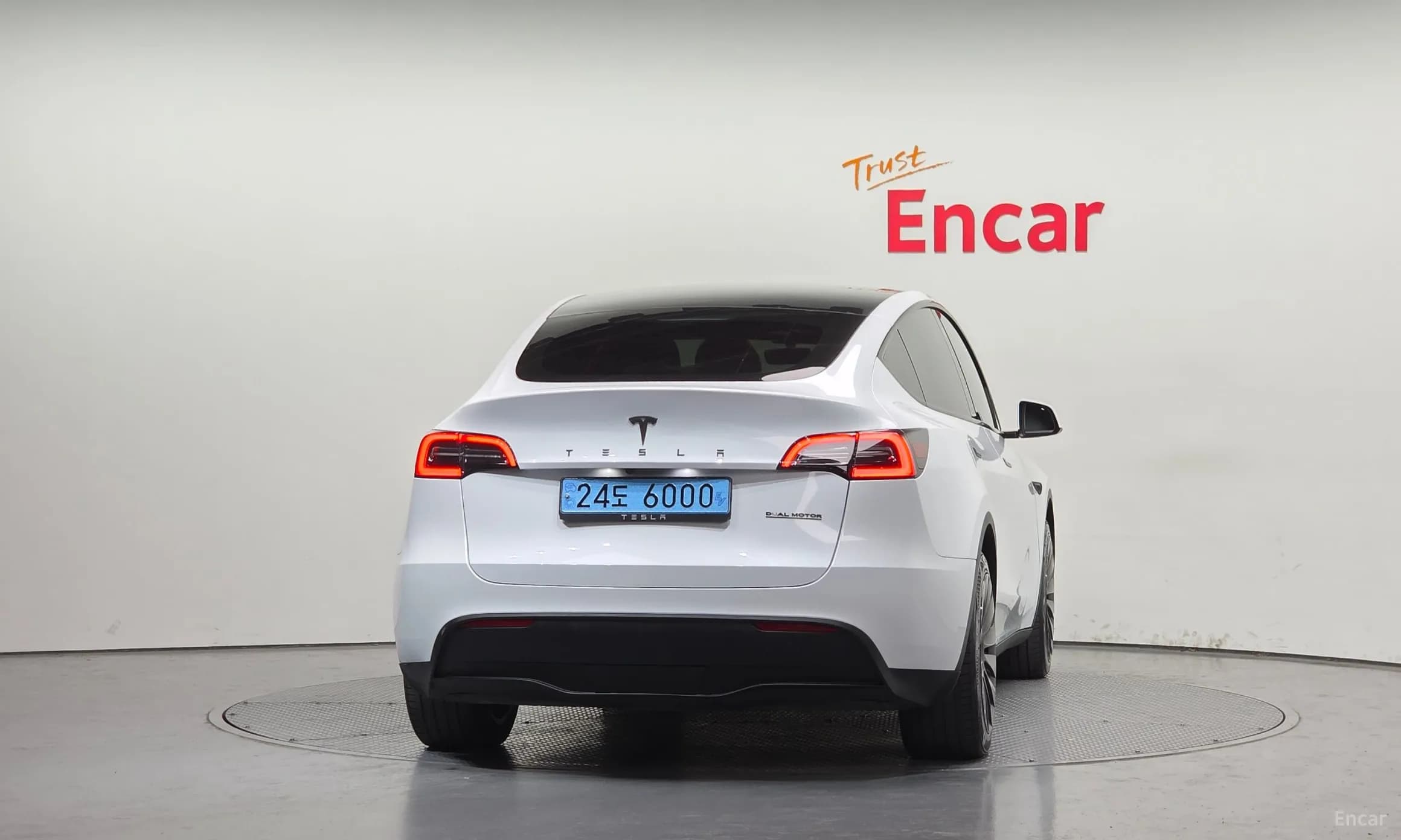 Model Y