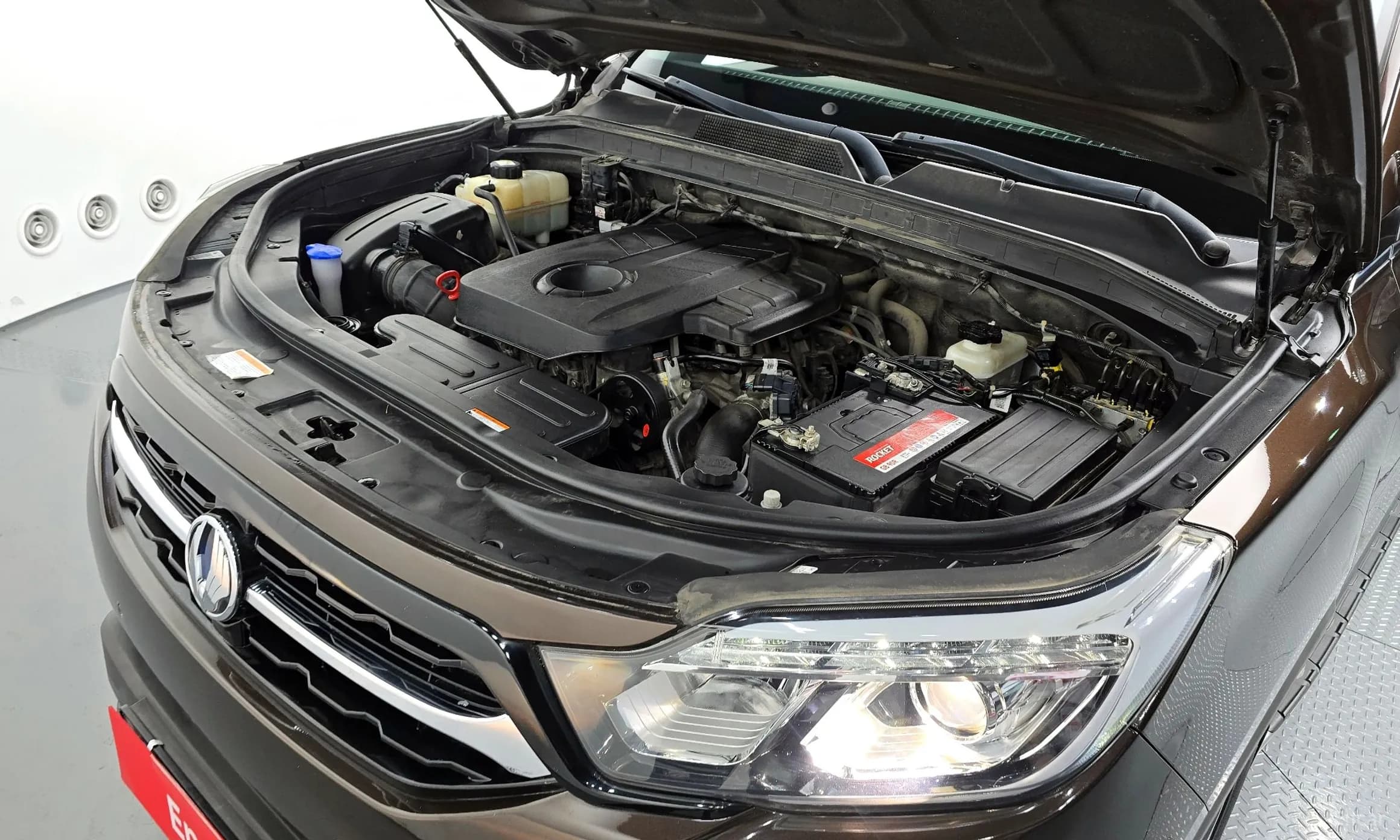 Rexton Sports