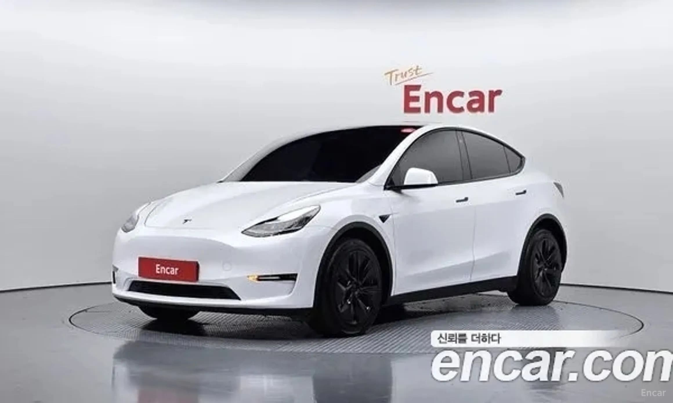 Model Y