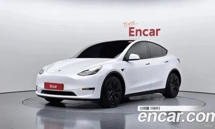 Model Y