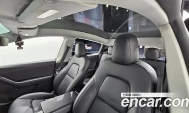Model Y