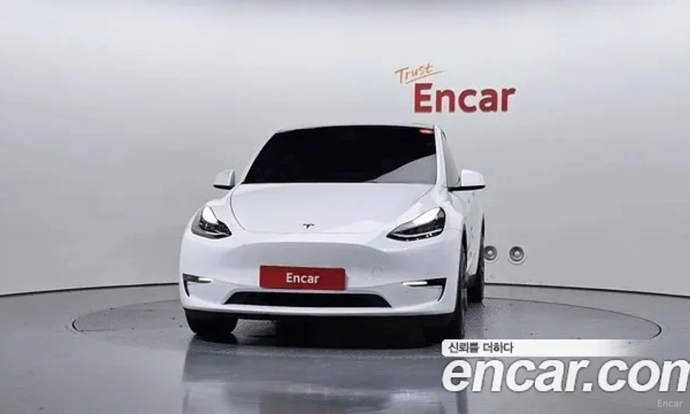 Model Y