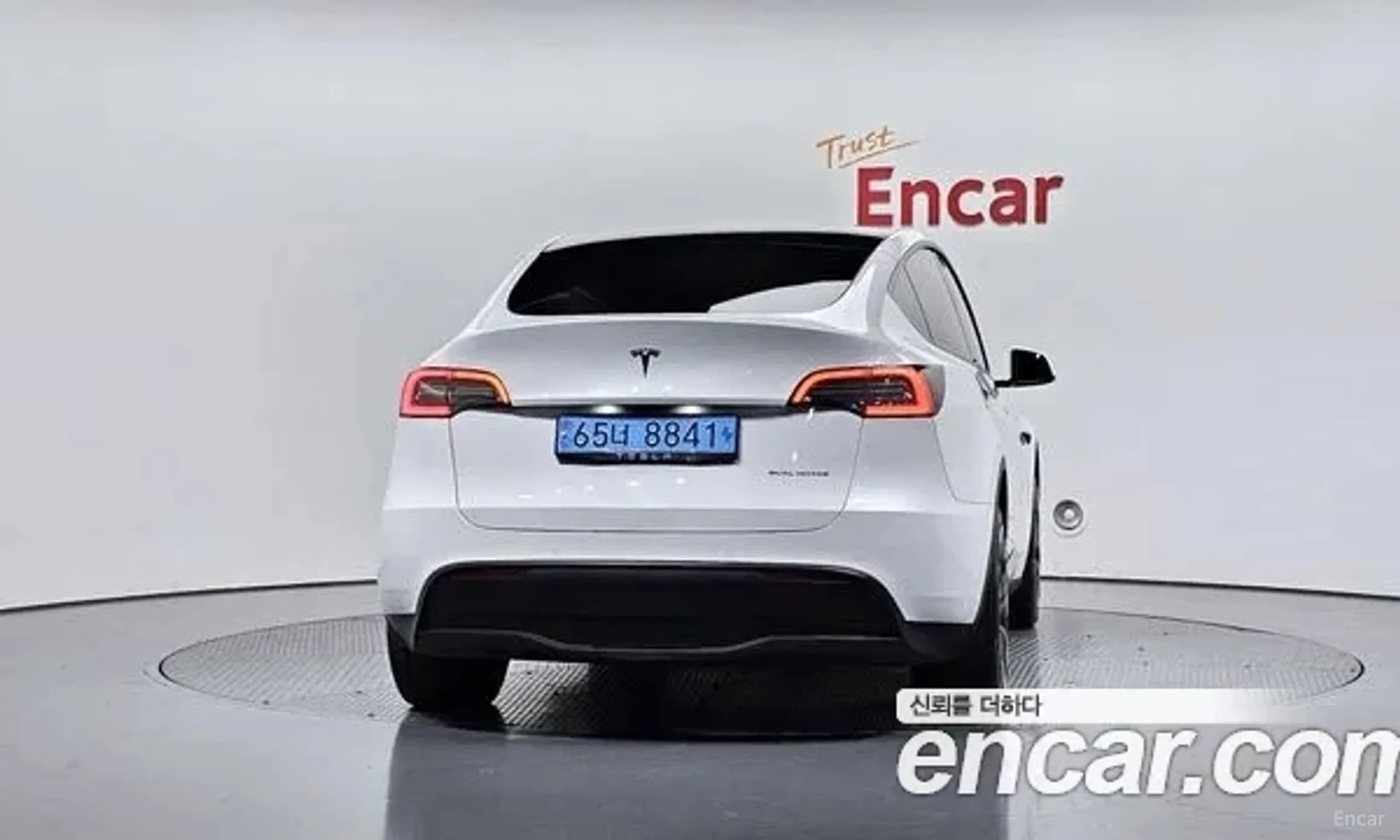 Model Y