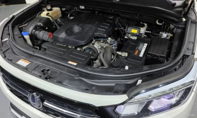 Rexton Sports