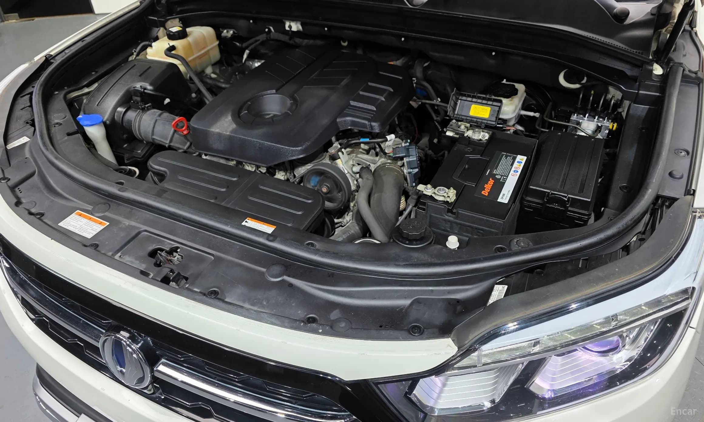 Rexton Sports