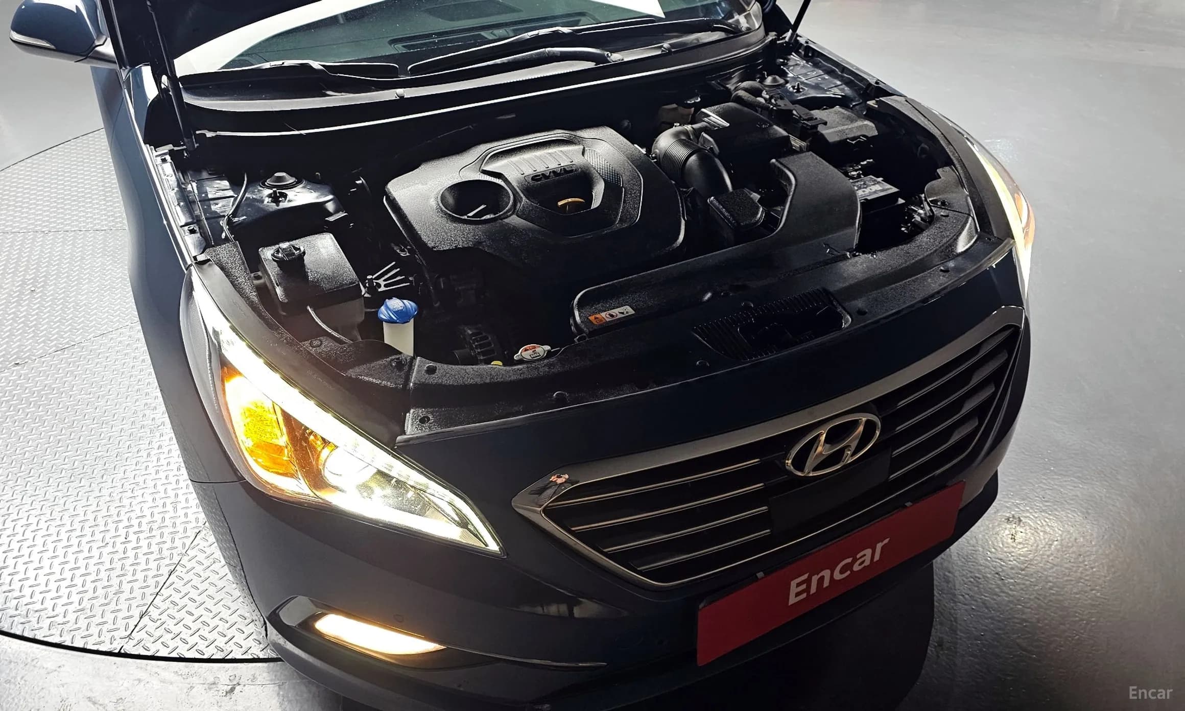 LF Sonata