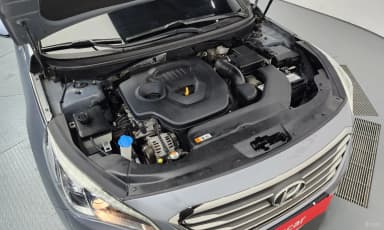 LF Sonata