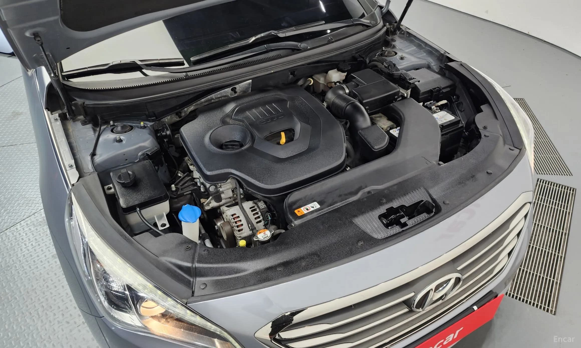 LF Sonata