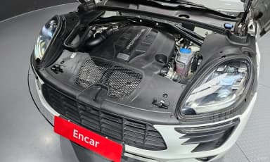 Macan