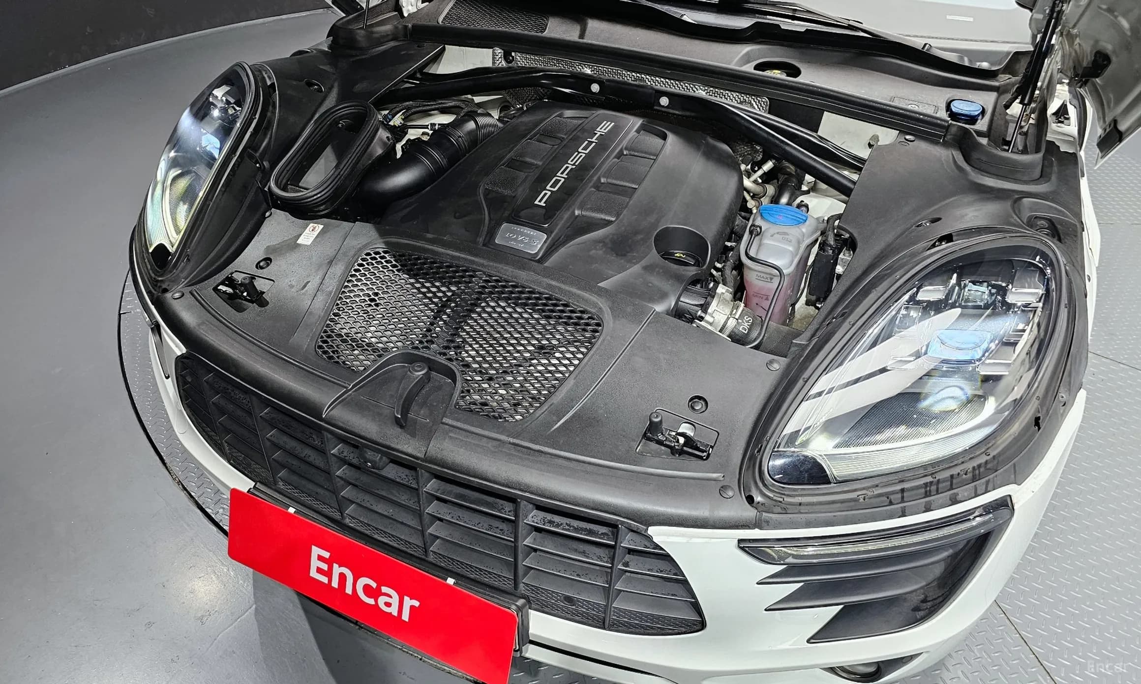 Macan