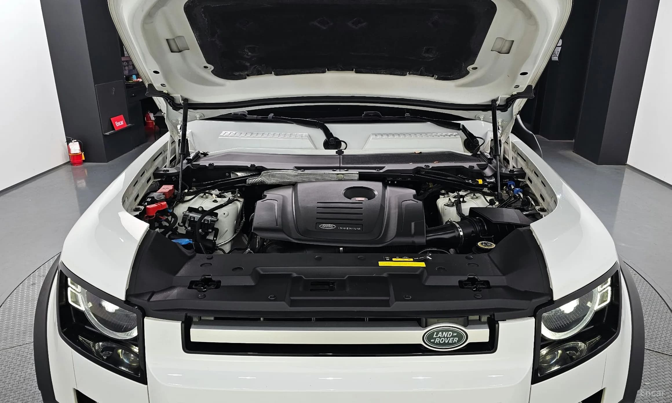 Defender (L663)
