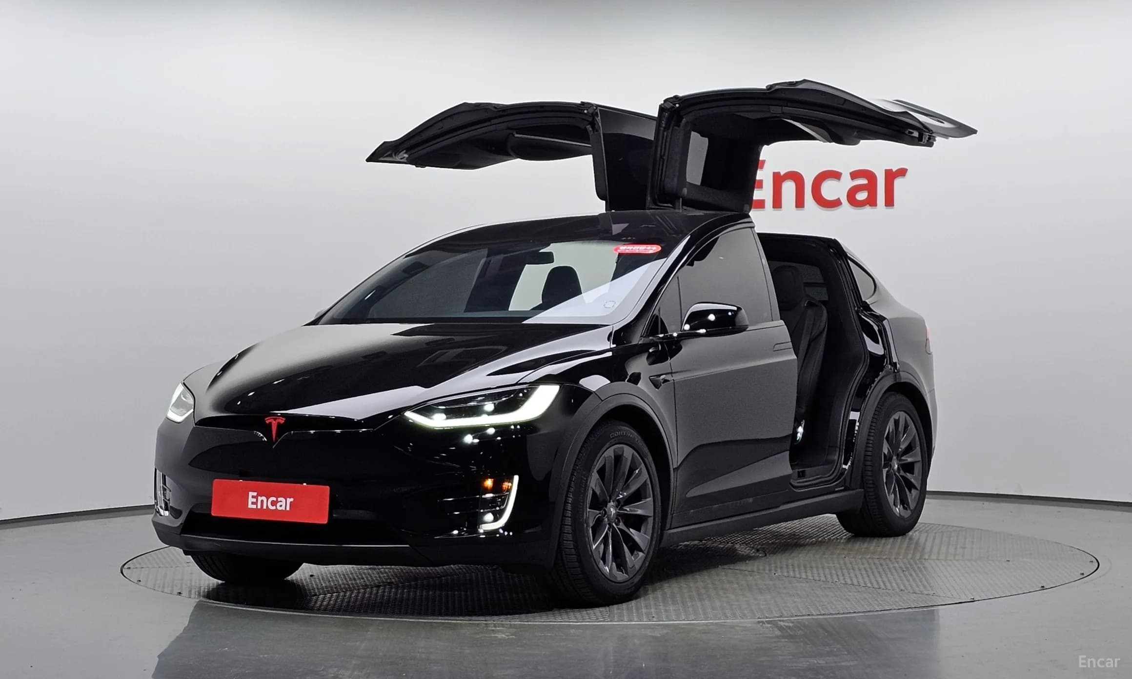Model X