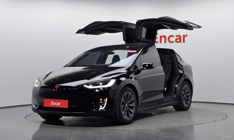 Model X