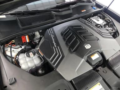 Urus