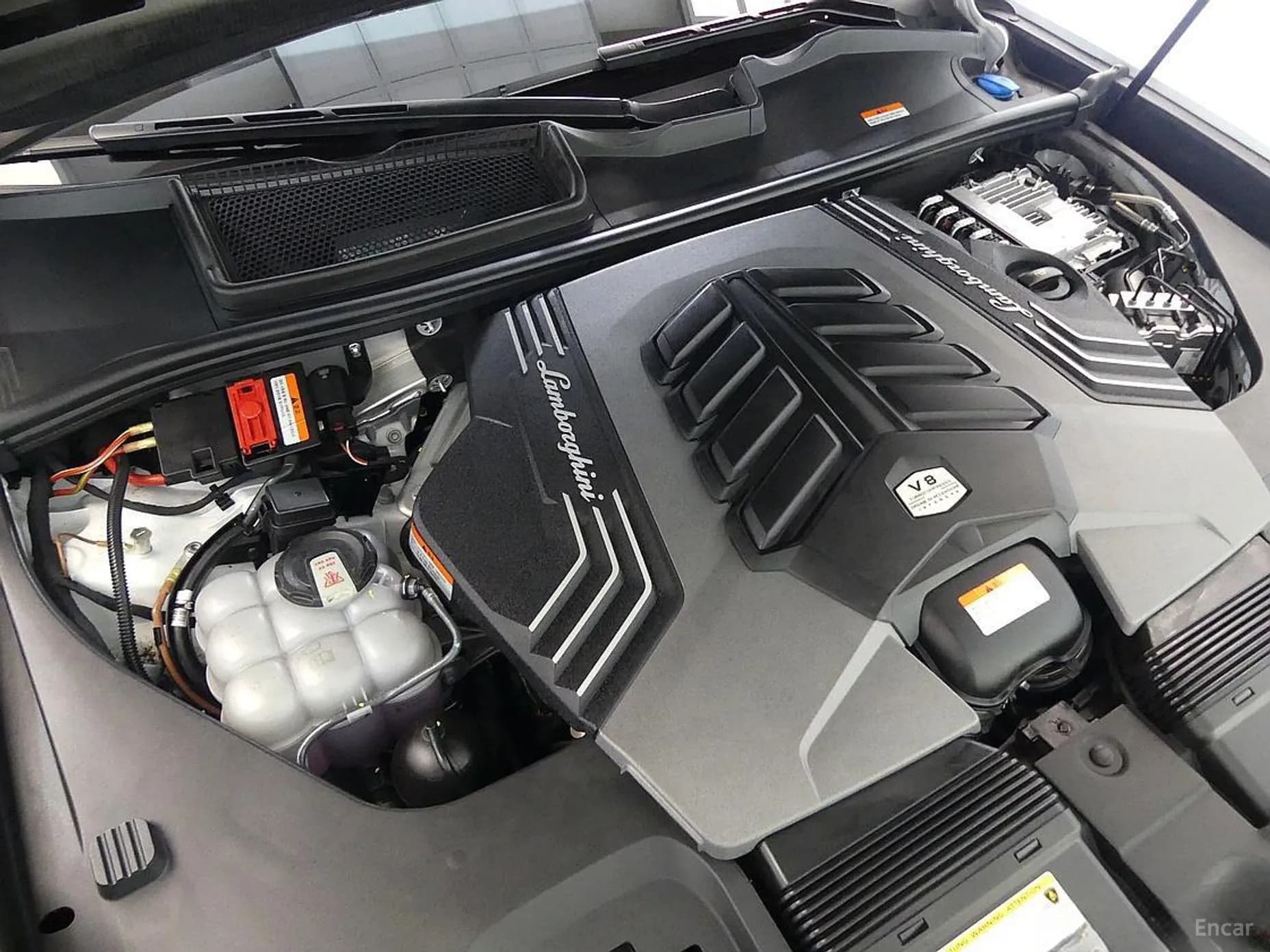 Urus