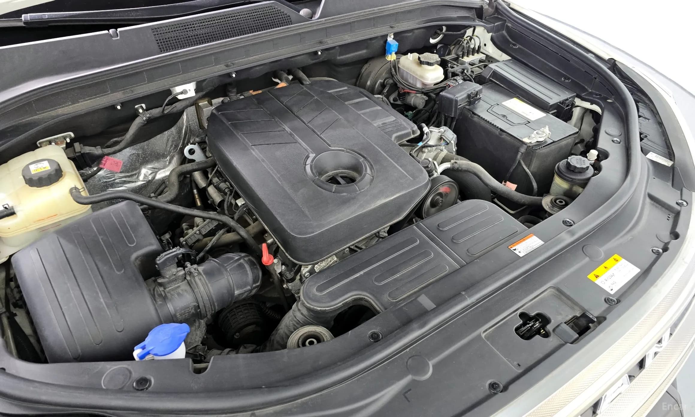 Rexton Sports Khan