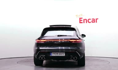 Macan