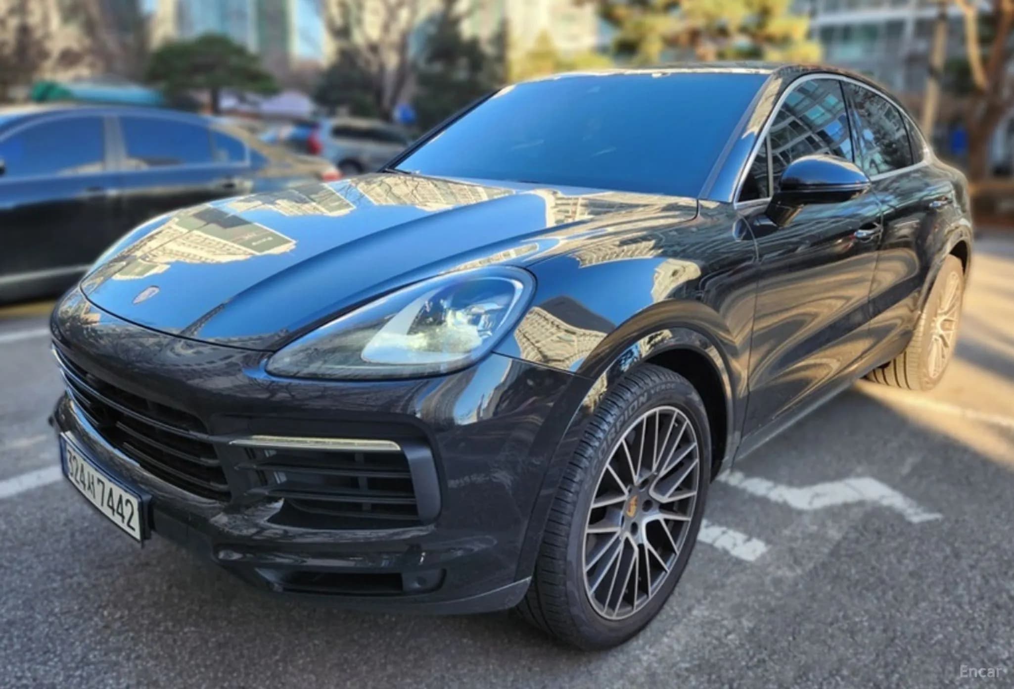 Cayenne (PO536)