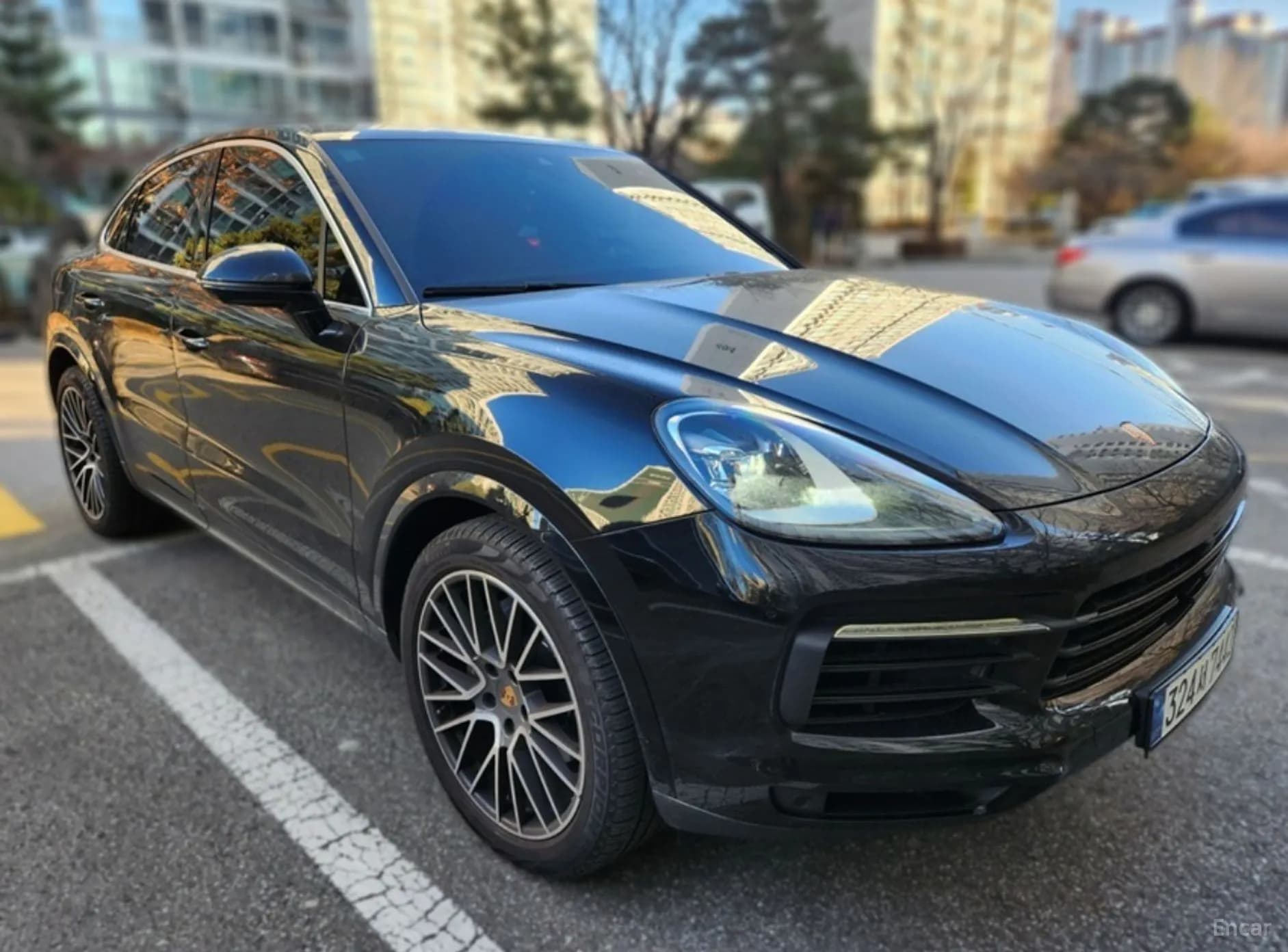 Cayenne (PO536)