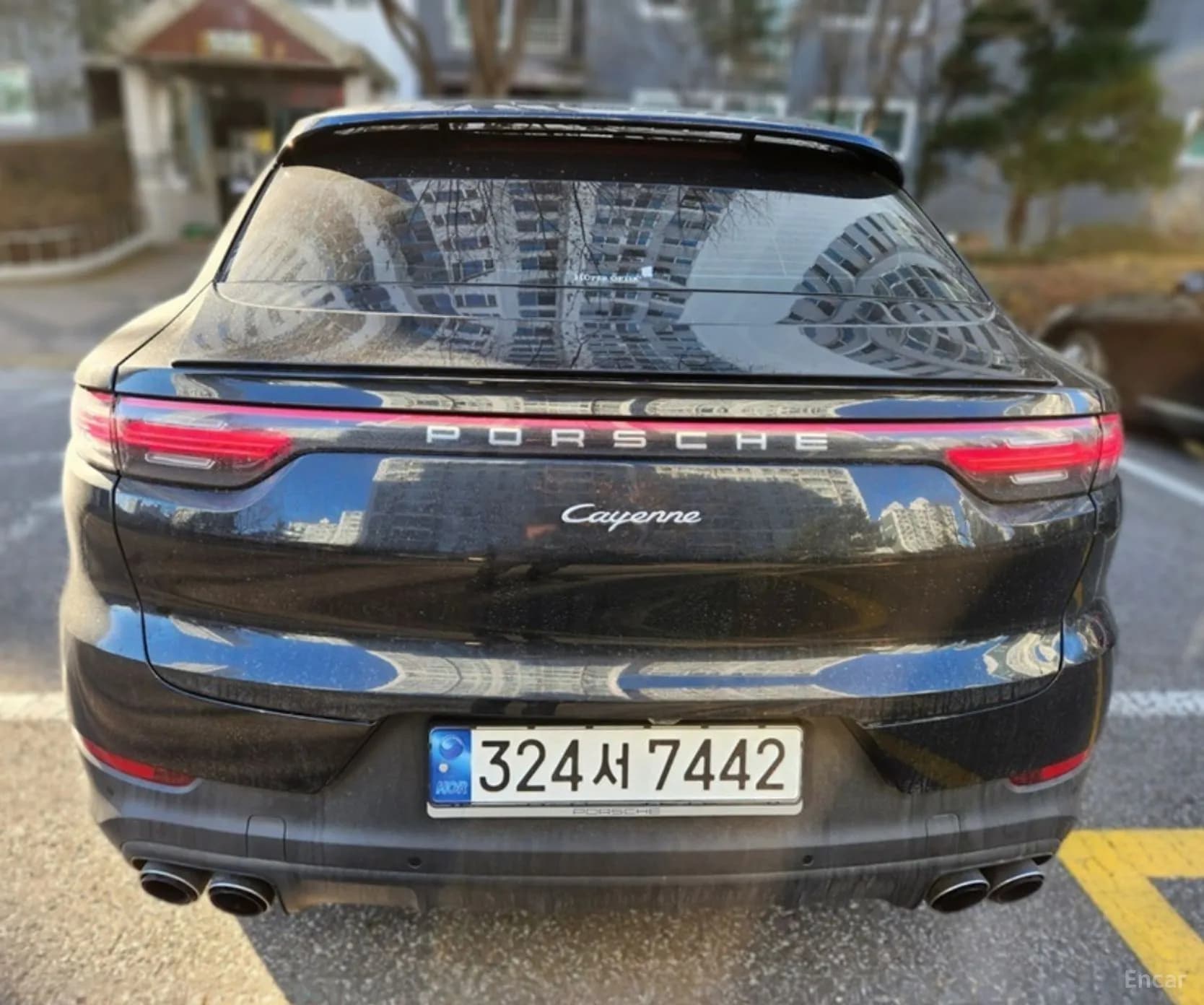 Cayenne (PO536)