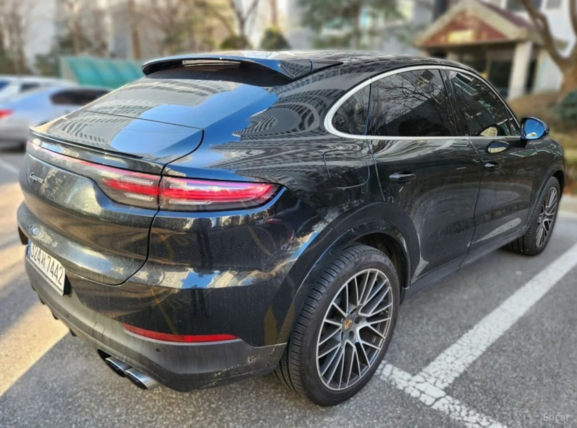 Cayenne (PO536)