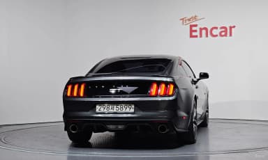 Mustang