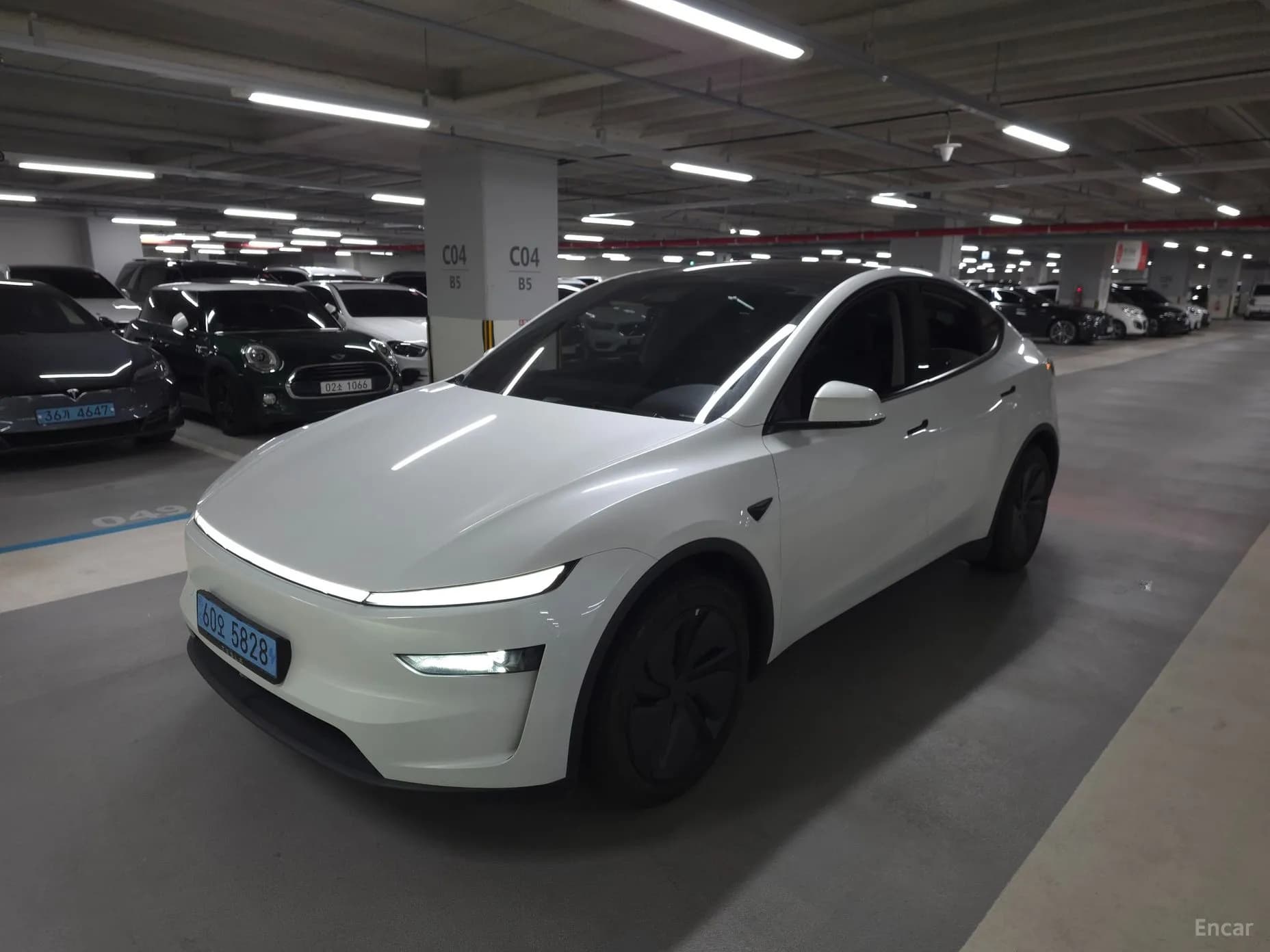 Model Y