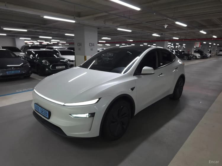 Model Y