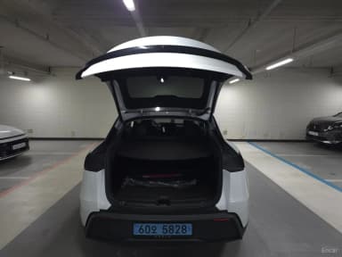 Model Y