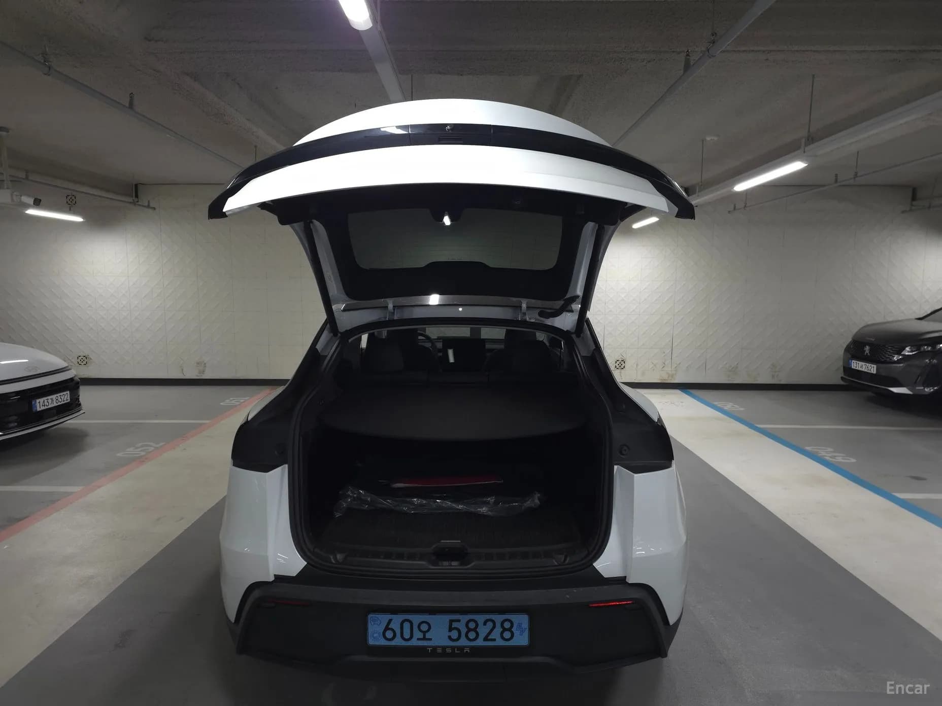 Model Y