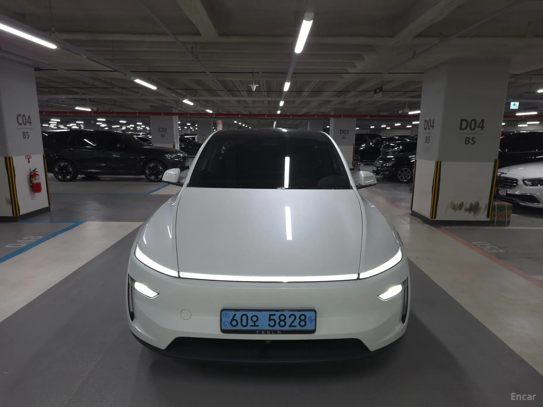Model Y