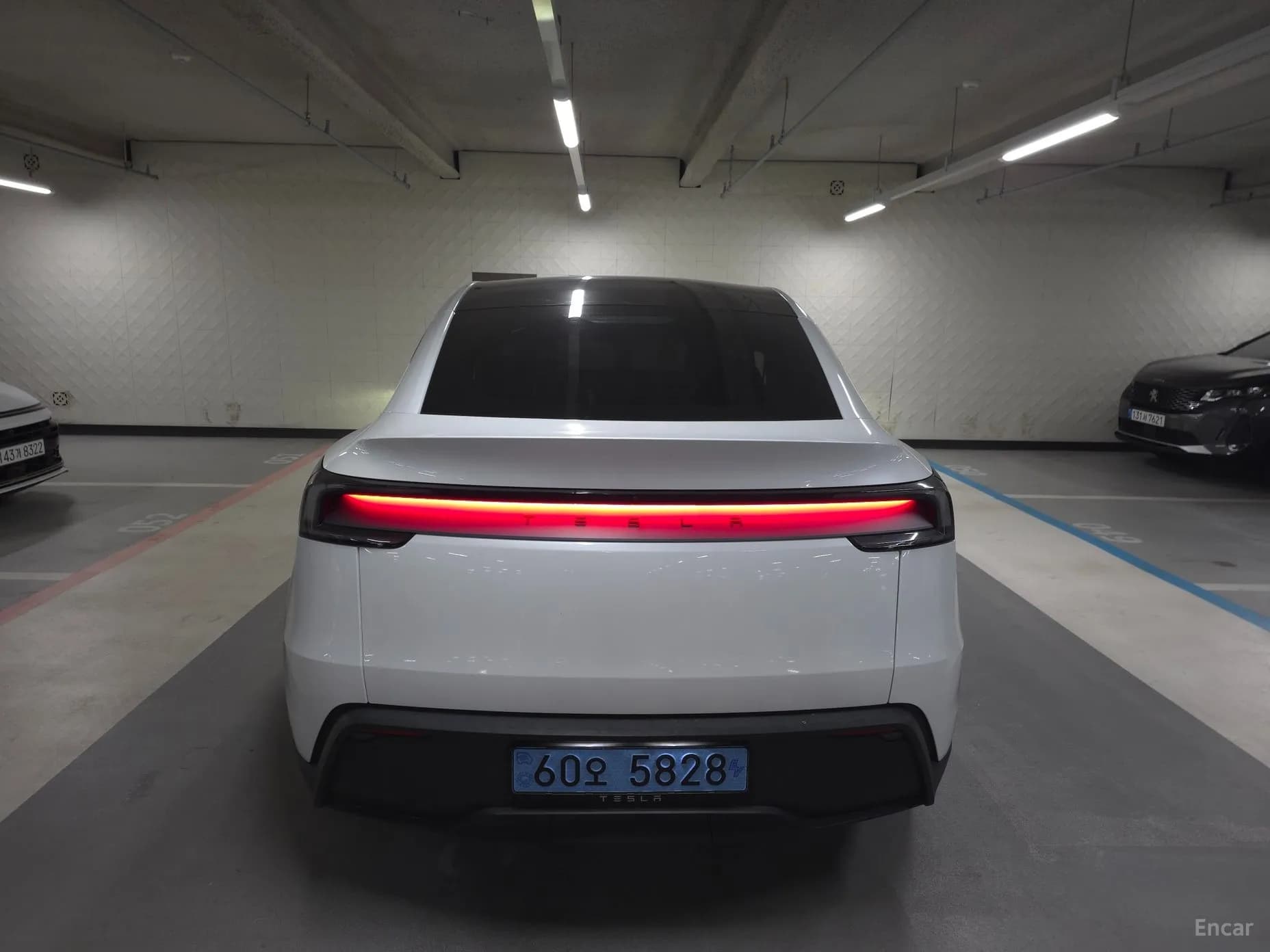Model Y