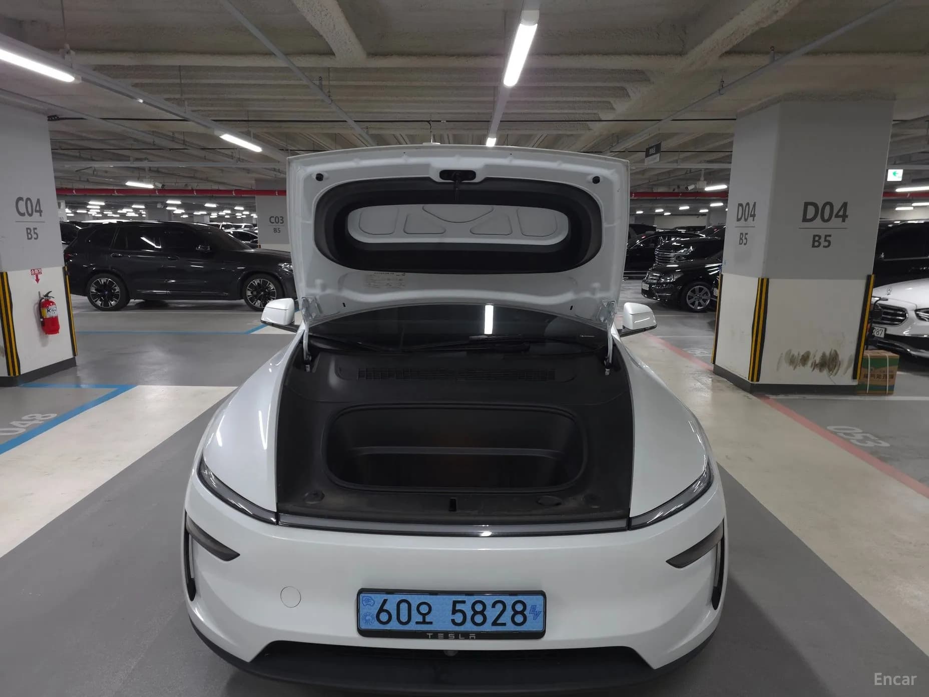 Model Y