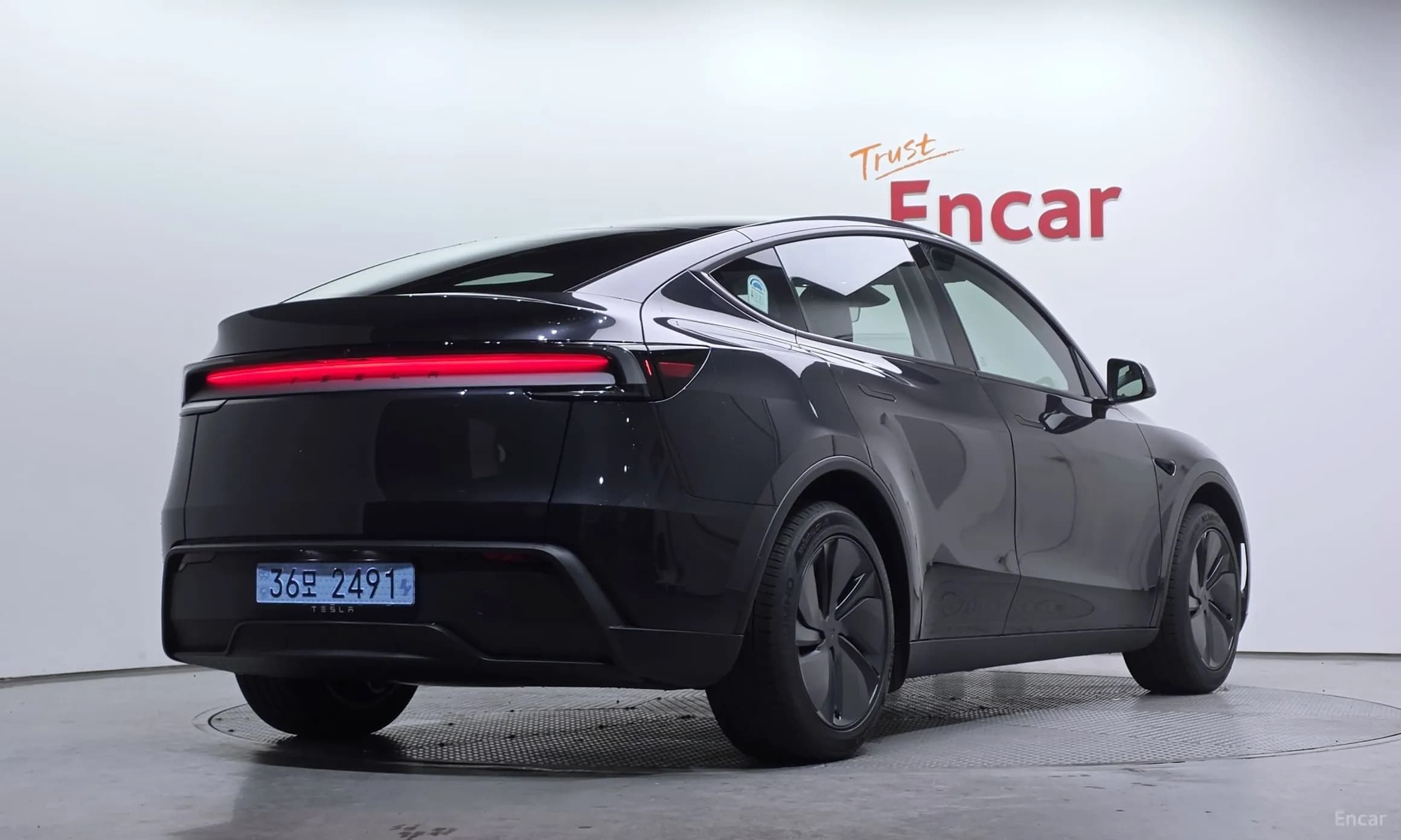 Model Y