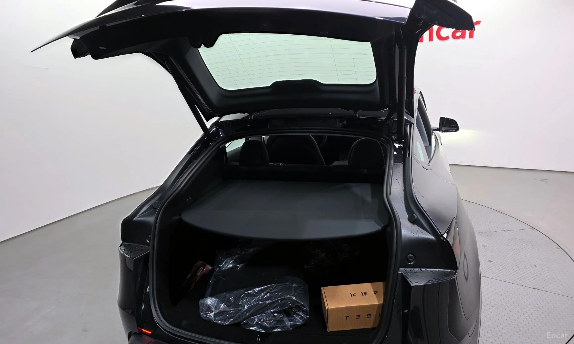 Model Y