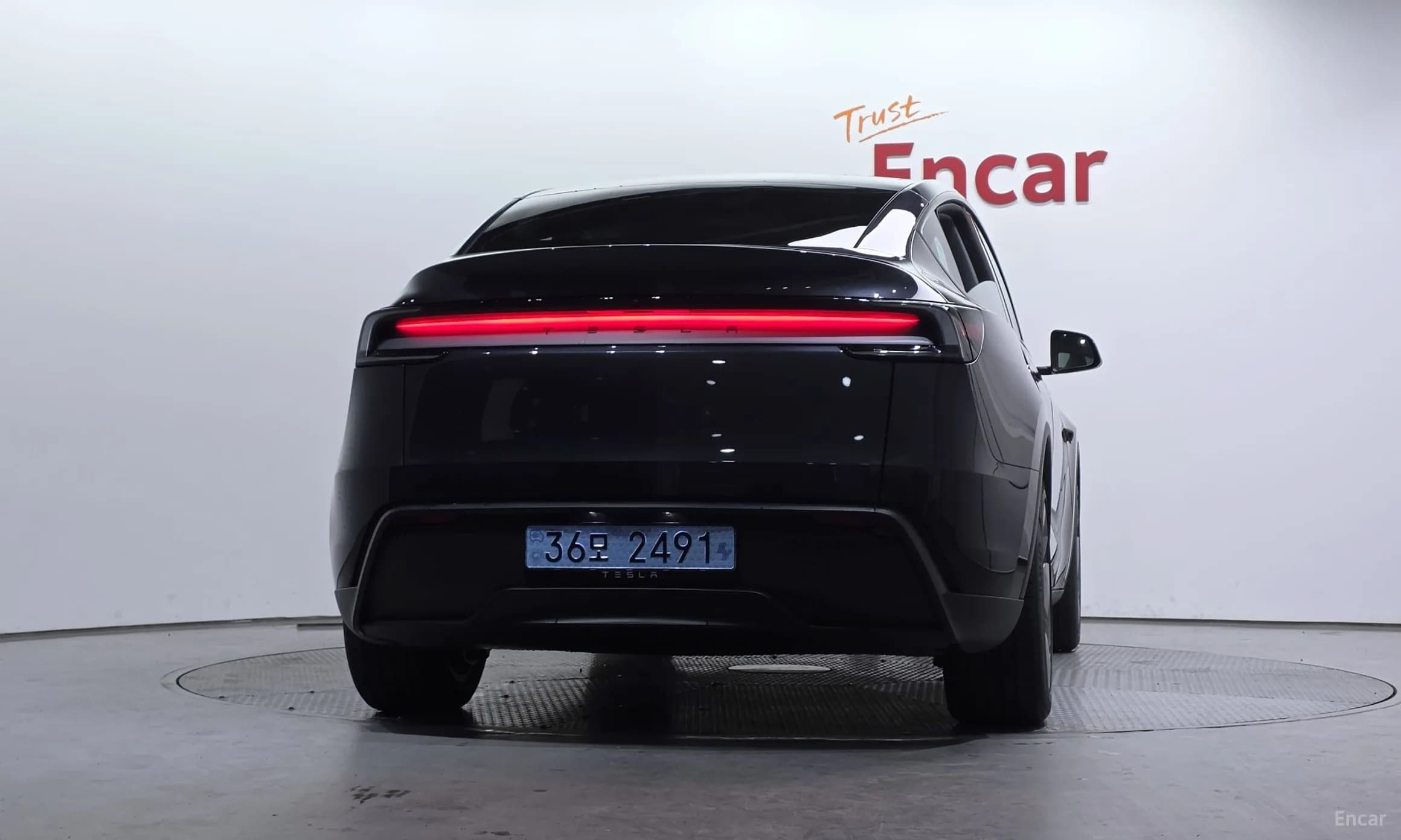 Model Y